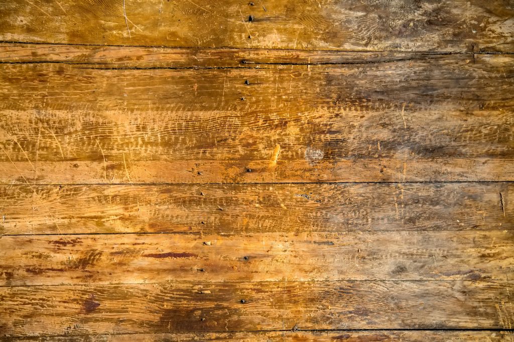 Water Damaged Floor Repair Auckland: Don’t Let Your Floors Go Down the Drain! Cover Image 00432